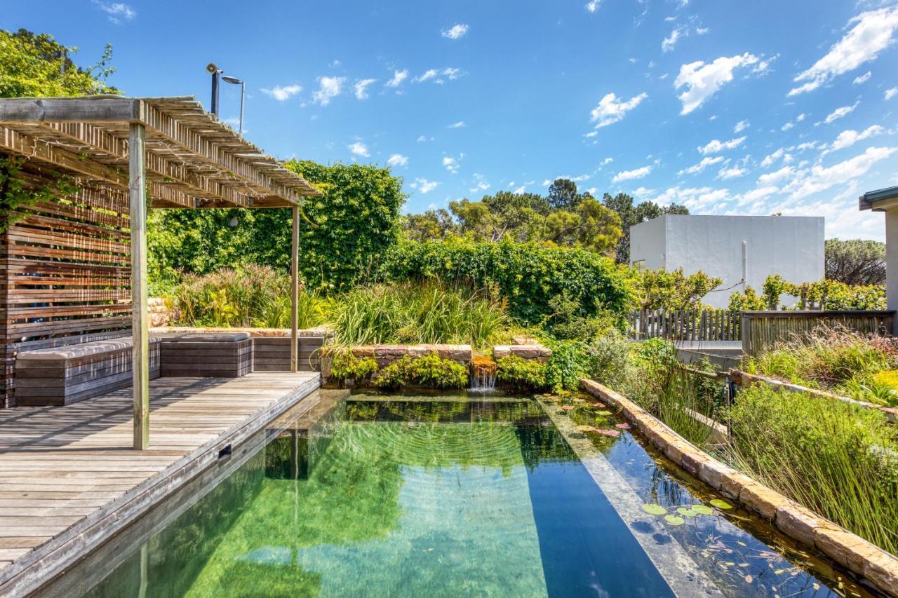 Solar-powered Mountain Retreat With Natural Pool * Cape Town